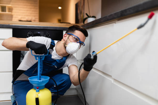 Best Cockroach Control Services  in Satsuma, AL