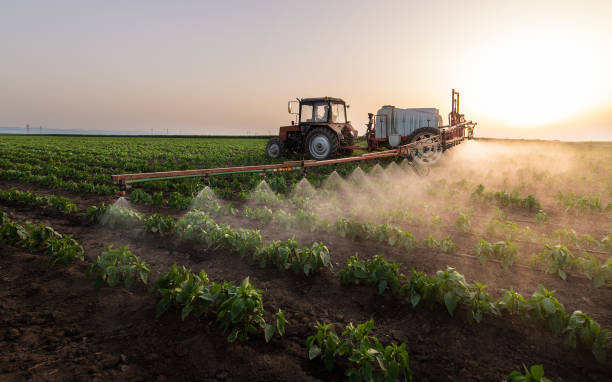 Best Pest Control Treatment  in Satsuma, AL