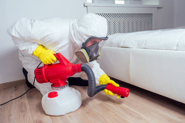 Professional Pest Control in Satsuma, AL
