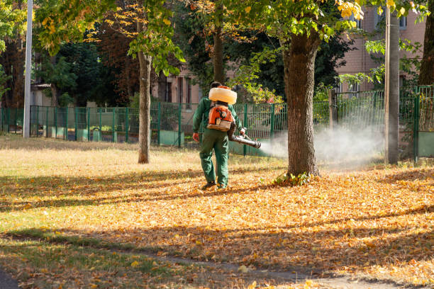 Best Best Pest Control Companies  in Satsuma, AL