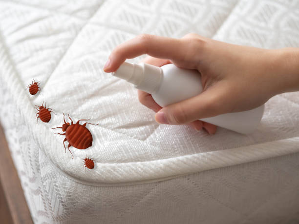 Best Mosquito Control Services  in Satsuma, AL